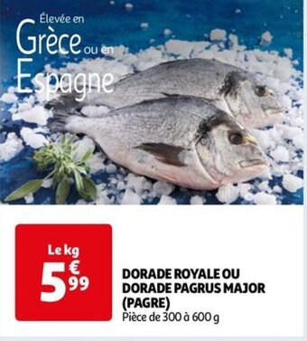 Auchan DORADE ROYALE OU DORADE PAGRUS MAJOR (PAGRE) offre