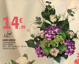 COUPE HORTUS
