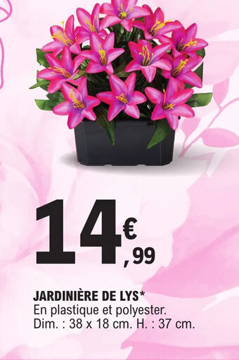 E.Leclerc JARDINIÈRE DE LYS offre
