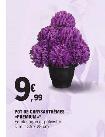E.Leclerc POT DE CHRYSANTHÈMES PREMIUM offre