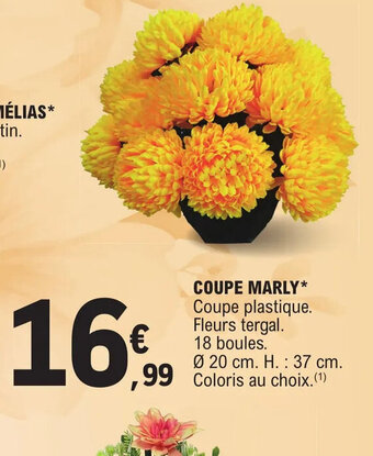 COUPE MARLY
