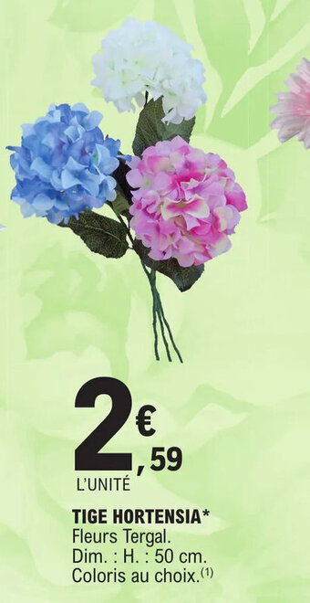 E.Leclerc TIGE HORTENSIA offre