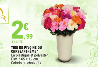 E.Leclerc TIGE DE PIVOINE OU CHRYSANTHÈME offre