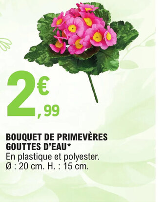 E.Leclerc BOUQUET DE PRIMEVÈRES GOUTTES D'EAU offre