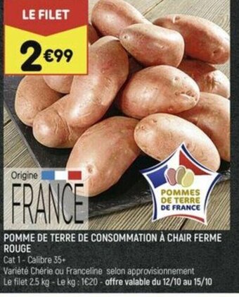 POMME DE TERRE DE CONSOMMATION À CHAIR FERME ROUGE