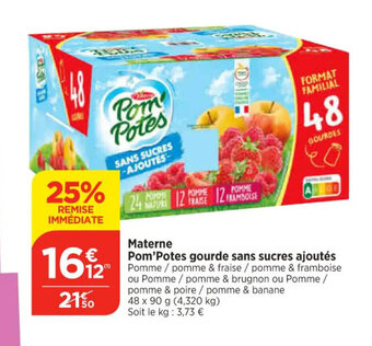Materne Pom'Potes gourde sans sucres ajoutés