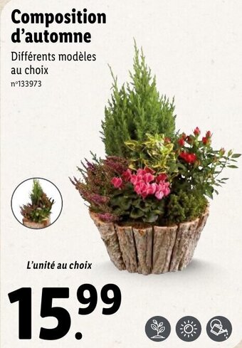 Lidl Composition d'automne offre