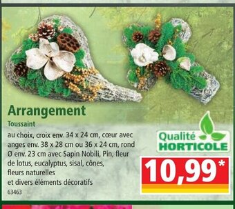 Norma Arrangement Toussaint offre