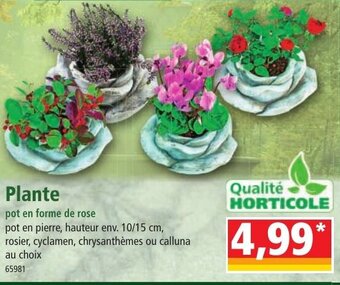 Norma Plante offre