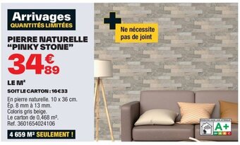 Brico Dépôt PIERRE NATURELLE "PINKY STONE" offre