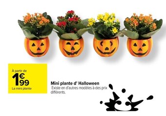 Carrefour Mini plante d' Halloween offre