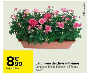 Jardinière de chrysanthèmes Longueur 40 cm. Existe en différents coloris.