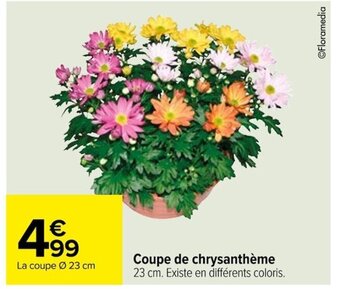 Carrefour Coupe de chrysanthème offre