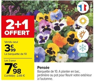 Carrefour Pensée offre