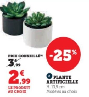 PLANTE ARTIFICIELLE