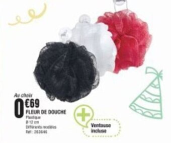 La Foir'Fouille FLEUR DE DOUCHE offre