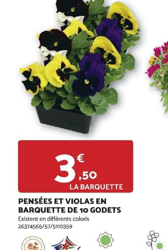 Bricomarché PENSÉES ET VIOLAS EN BARQUETTE DE 10 GODETS offre
