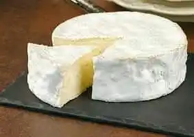 COULOMMIERS LAIT CRU PAILLE 22% M.G. FROMAGERIE RENARD GILLARD