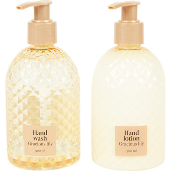 Action Action savon et lotion pour les mains offre