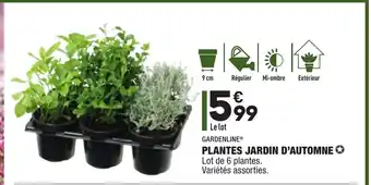 Plantes Jardin D'automne