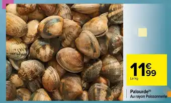 Carrefour Palourde offre