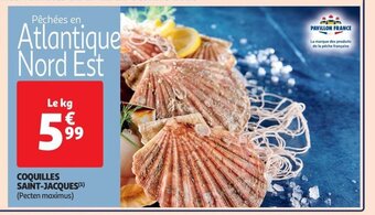 Auchan Supermarché COQUILLES SAINT-JACQUES offre