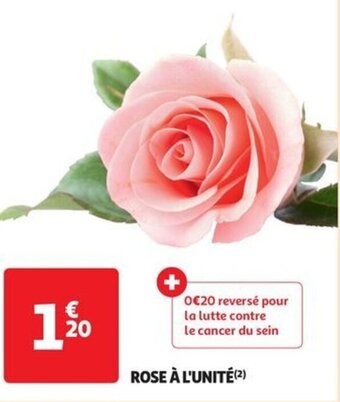 Auchan Supermarché ROSE À L'UNITÉ (2) offre