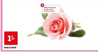 Auchan ROSE À L'UNITÉ offre