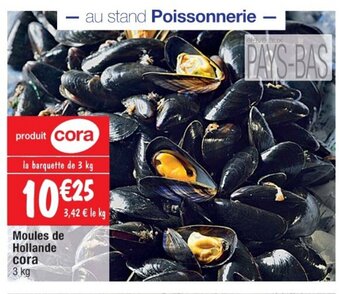 Cora x Carrefour Moules de Hollande cora offre