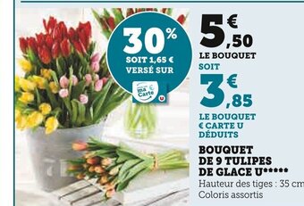 Super U BOUQUET DE 9 TULIPES DE GLACE U offre
