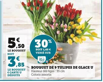 U Express U bouquet de 9 tulipes de glace offre