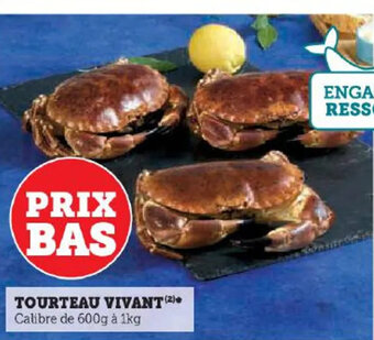 Super U TOURTEAU VIVANT 1 offre