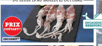 ENCORNET