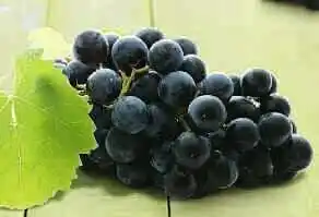 Petit Casino RAISIN NOIR VARIÉTÉ MUSCAT CATÉGORIE 1 offre