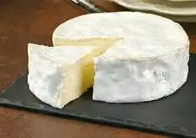 COULOMMIERS LAIT CRU PAILLE 22% M.G. FROMAGERIE RENARD GILLARD