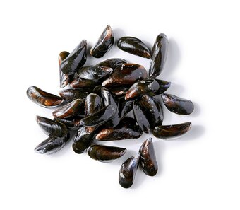 Moules de bouchot