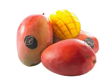 Match Mangue affinée offre