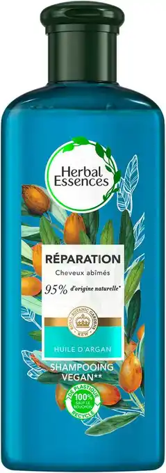 Match Shampooing offre