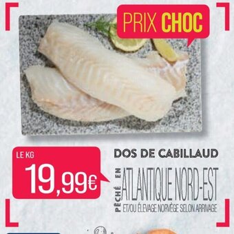 Match DOS DE CABILLAUD offre