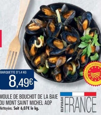 Match MOULE DE BOUCHOT DE LA BAIE DU MONT SAINT MICHEL AOP offre