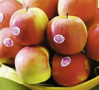 Géant Casino Pomme offre
