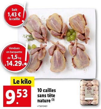 Lidl 10 cailles sans tête nature offre