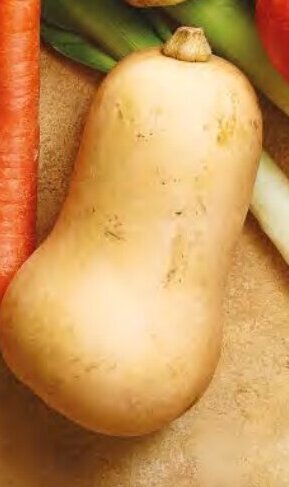 Lidl Butternut offre