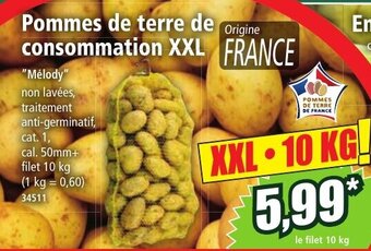 Norma Pommes de terre de consommation XXL FRANCE offre