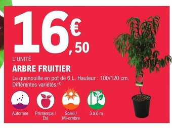 E.Leclerc Jardi ARBRE FRUITIER offre