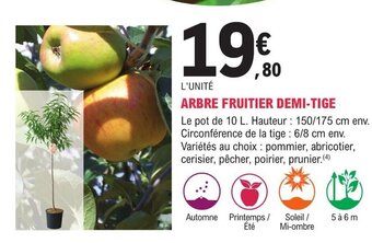 E.Leclerc Jardi ARBRE FRUITIER DEMI-TIGE offre