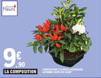 E.Leclerc COMPOSITION 3 PLANTES EXTERIEURE AUTOMNE COUPE DE 23CM(5) offre