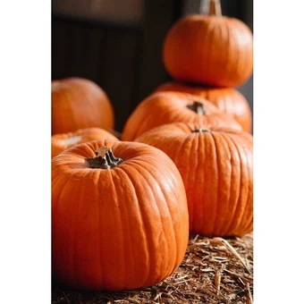 Carrefour Market Jack'o lantern offre