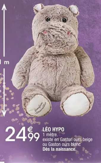Cora x Carrefour Léo hypo offre