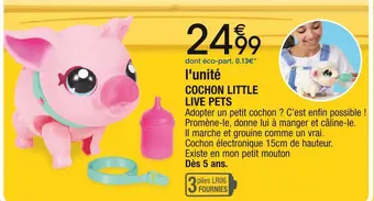 Cochon little live pets